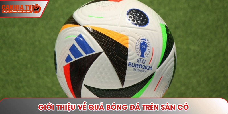 Bóng là vật dụng cốt lõi trong môn thể thao vua