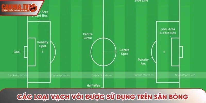 Các loại vạch vôi được sử dụng trên sân bóng