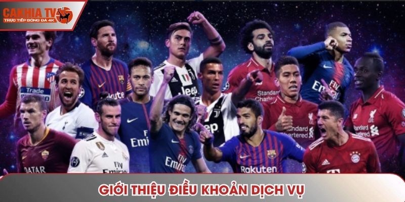 Giới thiệu điều khoản dịch vụ