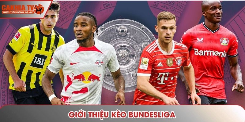 Giới thiệu kèo Bundesliga