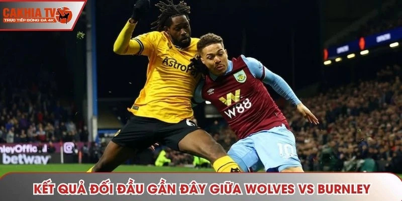 Thống kê kết quả đối đầu gần đây giữa Wolves vs Burnley
