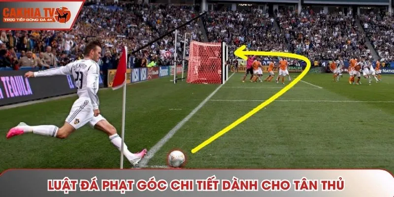 Luật đá phạt góc chi tiết dành cho tân thủ