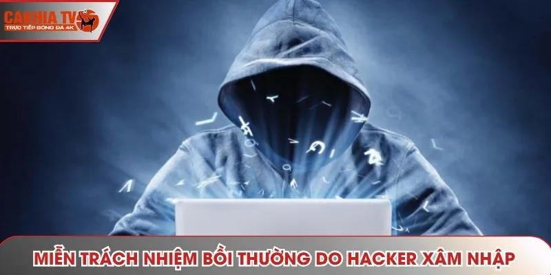 Miễn trách nhiệm bồi thường do Hacker xâm nhập