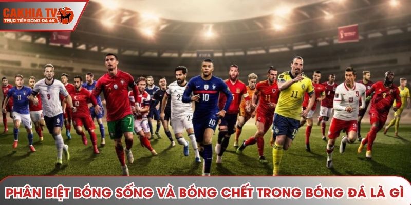 Phân biệt bóng sống và bóng chết trong bóng đá là gì