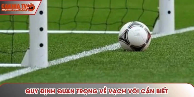 Quy định quan trọng về vạch vôi cần biết