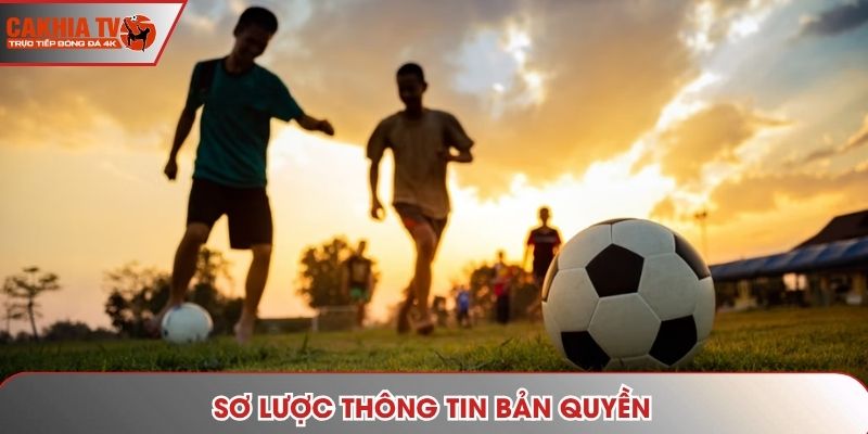 Sơ lược thông tin bản quyền