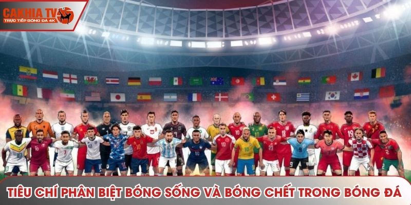 Tiêu chí phân biệt bóng sống và bóng chết trong bóng đá