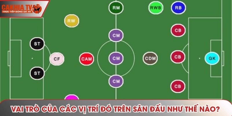 Vai trò của các vị trí đó trên sân đấu như thế nào?